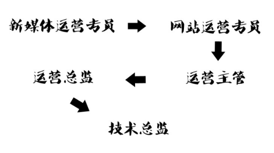 沈丘浙江财经大学东方学院岗位分析大赛